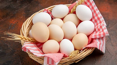 മുട്ട ഹൃദയത്തിന് നല്ലതോ ചീത്തയോ? വെളിപ്പെടുത്തി ഹാർട്ട് സർജൻ