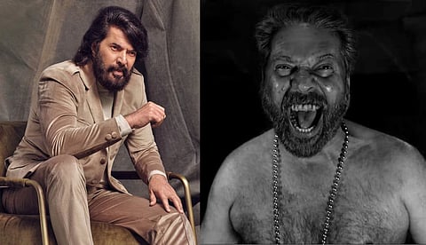 മമ്മൂട്ടി, കടയും തോറും കാതല് കനക്കുന്ന മഹാശാഖി!