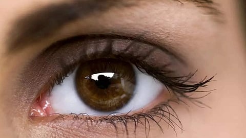 കണ്ണാണ്.. പൊന്നുപോലെ നോക്കണം..!! സുദീർഘമായ സ്ക്രീൻ ടൈം വില്ലനാകും; അറിഞ്ഞിരിക്കാം കംപ്യൂട്ടർ വിഷൻ സിൻഡ്രോം