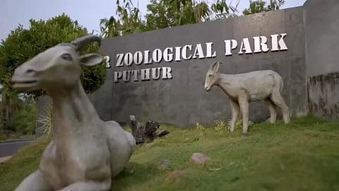 പുത്തൂര് സുവോളജിക്കല് പാര്ക്കില് പത്തിലധികം മാനുകള് ചത്ത നിലയില്; തെരുവുനായ ആക്രമണമെന്ന് സംശയം
