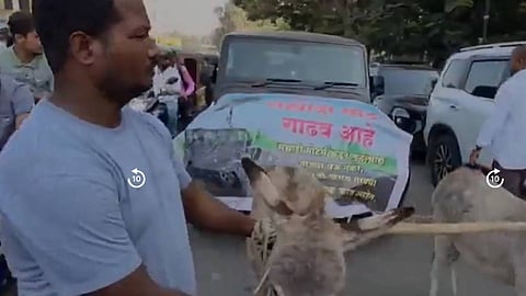 കഴുതകള് വലിക്കുന്ന മഹീന്ദ്ര ഥാര്; വാങ്ങിയ അന്നു തൊട്ട് തകരാറുകളെന്ന് ഉടമ