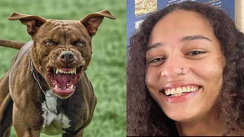 3 Pit Bulls killed College Student in Texas