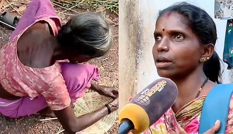 തദ്ദേശ തെരഞ്ഞെടുപ്പിന്റെ ആരവങ്ങളോ പ്രചാരണ ബോര്ഡുകളോ ഇല്ല; ഒന്നുമറിയാതെ ബദിയടുക്കയിലെ കൊറഗര് കുട്ട മെടയുന്ന തിരക്കിലാണ്