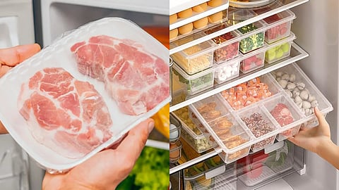ചിക്കനും ബീഫും പോലെയല്ല, ഫ്രീസറിൽ മീൻ സൂക്ഷിക്കുന്നവർ ശ്രദ്ധിക്കുക!