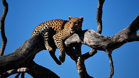 പ്രതീകാത്മക ചിത്രം