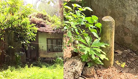 പാലക്കാട്-കോഴിക്കോട് ഗ്രീന്ഫീല്ഡ് ഹൈവേയ്ക്ക് സ്ഥലം നല്കിയവര്ക്ക് നഷ്ടപരിഹാരം വൈകുന്നു; നൂറിലേറെ പേര് ദുരിതത്തില് | എക്സ്ക്ലൂസീവ്