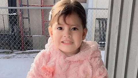 2 വയസുകാരിയെ കസ്റ്റഡിയിലെടുത്ത് യുഎസ് ഇമിഗ്രേഷൻ വകുപ്പ്