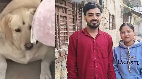 വധുവിൻ്റെ വളർത്തു നായയെ ചൊല്ലി യുപിയിൽ വരൻ്റെയും വധുവിൻ്റേയും വീട്ടുകാർ തമ്മിൽ കൂട്ടത്തല്ല്; ഒടുവിൽ വിവാഹം റദ്ദാക്കി