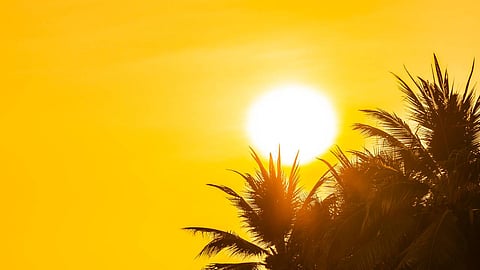 ചുട്ടുപൊള്ളി കേരളം; പാലക്കാട് വളർത്തുമീനുകൾ വ്യാപകമായി ചത്തുപൊങ്ങി, ജാഗ്രതാ നിർദേശം