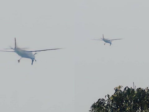 Private plane crashes into tree in Chhattisgarh