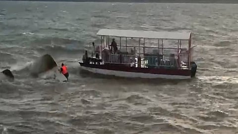 9 Tourists Dead, Cruise Boat Sinks In Madhya Pradesh