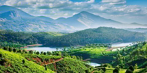 മൂന്നാർ വ്യാജ പട്ടയ കേസ്: സിബിഐ അന്വേഷണം വേണ്ടെന്ന് സർക്കാർ