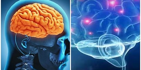 അമീബിക് മസ്തിഷ്ക ജ്വരം; ശ്രദ്ധിക്കണം മഴക്കാലമാണ്