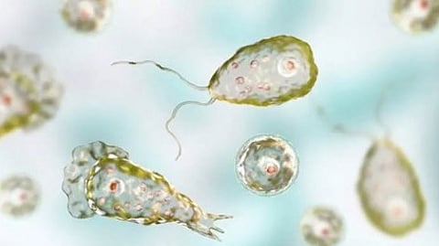 പ്രതീകാത്മക ചിത്രം