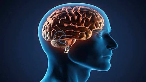 അമീബിക്ക് മസ്തിഷ്ക ജ്വരം പകർച്ച വ്യാധിയല്ല; ആരോഗ്യ വിദഗ്ധര്