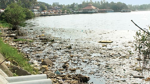 തുടരുന്ന പ്ലാസ്റ്റിക് മലിനീകരണം; അഷ്ടമുടിക്കായലിലെ ജൈവസമ്പത്തിന് വെല്ലുവിളിയായി മൈക്രോപ്ലാസ്റ്റിക്ക്