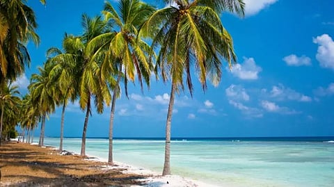 പണ്ടാരം ഭൂമി പിടിച്ചെടുക്കൽ; ഉത്തരവിന് ഹൈക്കോടതി സ്റ്റേ