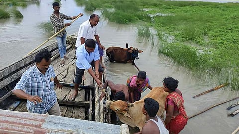 അസമിലെ പ്രളയത്തിൽ എട്ടു പേർ കൂടി മരിച്ചു; സംസ്ഥാനത്ത് മഴക്കെടുതിയിൽ മരിച്ചവരുടെ എണ്ണം 66 ആയി
