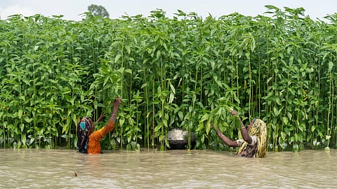 വടക്കേ ബംഗ്ലാദേശിൽ വെള്ളപ്പൊക്കം, 40,000 പേരെ മാറ്റി പാർപ്പിച്ചു; മഴ തുടരുമെന്ന് കാലാവസ്ഥാ നിരീക്ഷണ കേന്ദ്രം