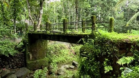 പ്രളയഭീതിയും വന്യജീവിശല്യവും;
പുത്തുമല കശ്മീർ ദ്വീപിൽ ദുരിതം തുടരുന്നു