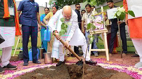 ഇൻഡോറിൽ അമിത് ഷാ തൻ്റെ അമ്മയുടെ പേരിൽ മരം നടുന്നു