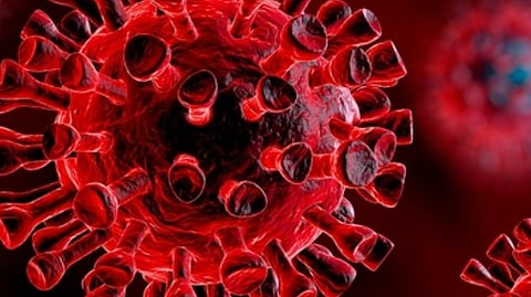 ഗുജറാത്തിനെ ഭീതിയിലാഴ്ത്തി ചാന്ദിപുര വൈറസ്; രോഗലക്ഷണങ്ങൾ എന്തൊക്കെ?