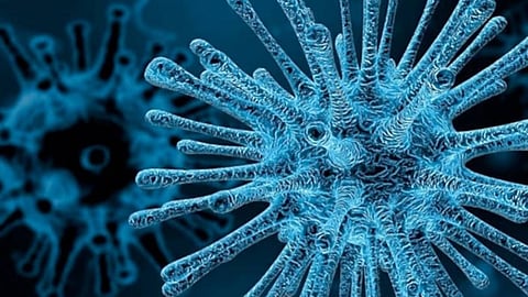 ചാന്ദിപുര വൈറസ്; ഗുജറാത്തിൽ നാലു വയസുകാരി കൂടി മരിച്ചു, സംസ്ഥാനത്ത് ആകെ 14 മരണം