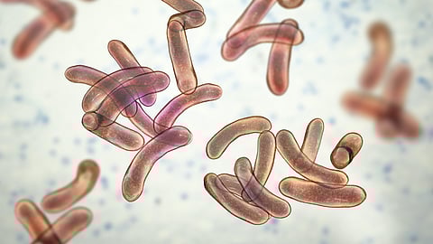 പ്രതീകാത്മക ചിത്രം