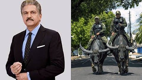 'മൈക്രോസോഫ്റ്റ് നിലച്ചു, നീലിച്ചു; ആഘോഷമാക്കി ഇന്റർനെറ്റ് സമൂഹം; ട്രോളുമായി ആനന്ദ് മഹീന്ദ്രയും