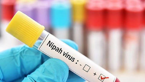 nipah