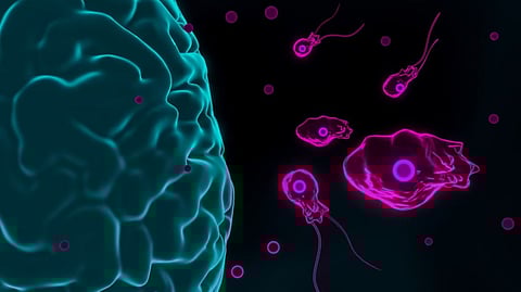 അമീബിക്ക് മസ്തിഷ്ക ജ്വരം: പ്രത്യേക മാര്ഗരേഖ പുറത്തിറക്കി സർക്കാർ