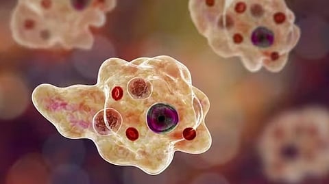 അമീബിക് മസ്തിഷ്ക ജ്വരം ബാധിച്ച 14കാരന് ആശുപത്രി വിട്ടു; രോഗമുക്തി നേടുന്നത് ഇന്ത്യയില് ആദ്യം