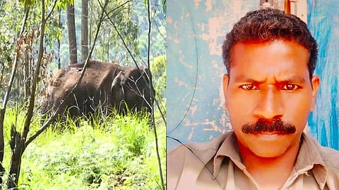 ഇടുക്കിയിൽ കാട്ടാന ആക്രമണം; യുവാവിൻ്റെ മൃതദേഹം സംസ്കരിച്ചു