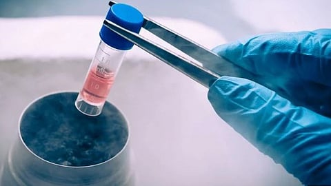 നിപ വൈറസ്: 16 ശ്രവ സാമ്പിളുകള് കൂടി നെഗറ്റീവ്