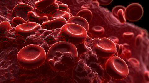 ഡെങ്കിപ്പനിയെ തുടർന്ന് പ്ലേറ്റ്ലെറ്റ് കുറവുണ്ടോ?
ഇവ കഴിച്ച് നോക്കൂ...