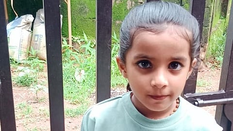 പാലക്കാട് സ്കൂൾ ബസ് തട്ടി വിദ്യാർഥിനി മരിച്ചു