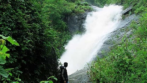 വയനാടിൻ്റെ മടിത്തട്ടിൽ ശിരസുയർത്തി; പുഴമൂല വെള്ളച്ചാട്ടത്തെ അറിയാം...