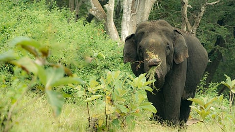 പ്രതീകാത്മക ചിത്രം