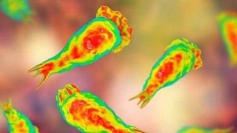 അമീബിക് മസ്തിഷ്ക ജ്വരം: വിദേശത്തു നിന്നും മരുന്ന് എത്തിക്കുന്നത് ഇതാദ്യമായി