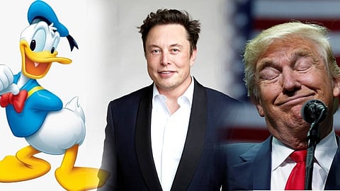 ഇത് വിഷയമാകും; ട്രംപിനെ തപ്പിയാല് കിട്ടുക 'ഡൊണാള്ഡ്' ഡക്കിനെ;
ഗൂഗിളിന് മുന്നറിയിപ്പുമായി ഇലോണ് മസ്ക്