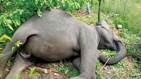 പ്രതീകാത്മക ചിത്രം