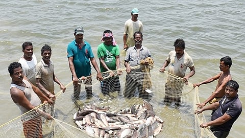 ഇതര സംസ്ഥാന മത്സ്യതൊഴിലാളികൾക്കായി 'അതിഥി തൊഴിലാളി തിരിച്ചറിയൽ കാർഡുകൾ'; പുതിയ നടപടിയുമായി ഫിഷറീസ് വകുപ്പ്