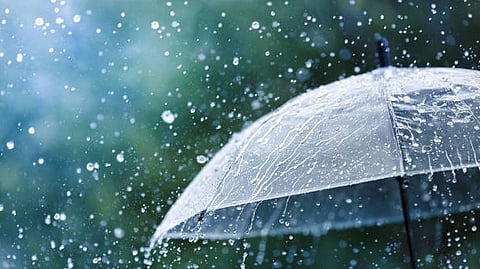 വടക്കന് കേരളത്തില് ശക്തമായ മഴയ്ക്ക് സാധ്യത; നാല് ജില്ലകളില് യെല്ലോ അലേര്ട്ട്