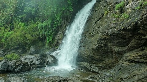 സൂചിപ്പാറ