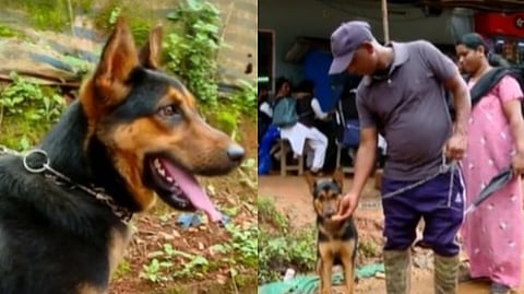 ദുരന്തത്തില് കാണാതായ യജമാനനെ തേടി ആ മിണ്ടാപ്രാണി; ഏറ്റെടുത്ത് സ്വന്തം വീട്ടിലെത്തിച്ച് കൃഷ്ണന്കുട്ടി