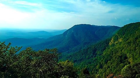 പ്രതീകാത്മക ചിത്രം