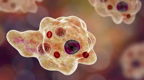 അമീബിക് മസ്തിഷ്ക ജ്വരം; ഒരാൾക്ക് കൂടി രോഗമുക്തി