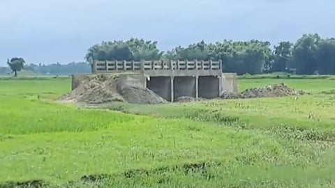 ബിഹാറിൽ വയലിന് നടുവിൽ നിർമിച്ച പാലം