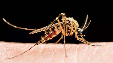 പ്രതീകാത്മക ചിത്രം