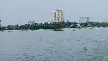 നെട്ടൂരിൽ പ്ലസ് ടു വിദ്യാർഥിനി കായലിൽ വീണു; തെരച്ചിൽ തുടരുന്നു